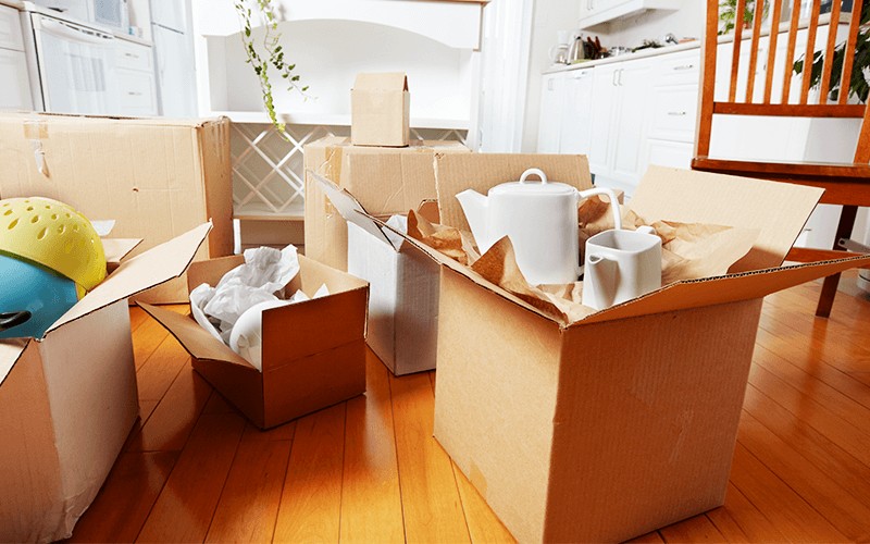 Shipping Pods for International Freight Forwarding in Queensland